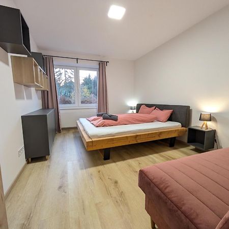 Apartman Stelvio Janské Lázně Eksteriør billede